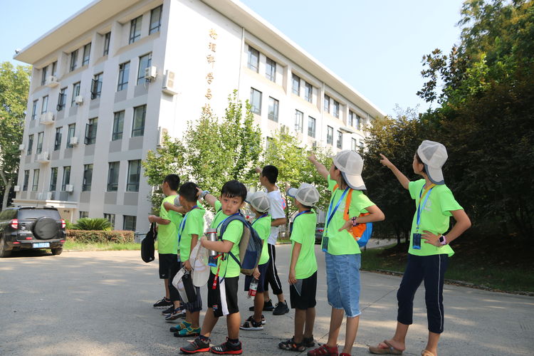 机器人技术等级考试