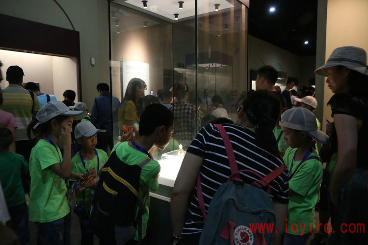 机器人技术等级考试